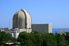 Photo of a containment dome on a U.S. nuclear power reactor