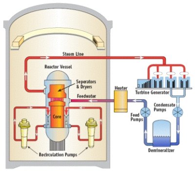 Diagram of a boiling water nuclear reactor.
